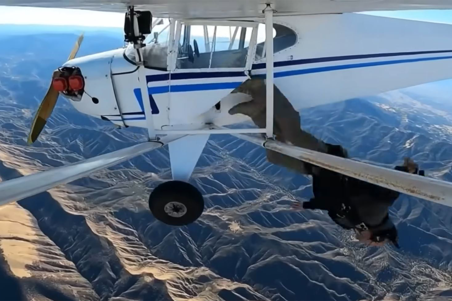 Momento en el que el piloto Trevor Jacob salta de su avión mientras es grabado por varias cámaras.