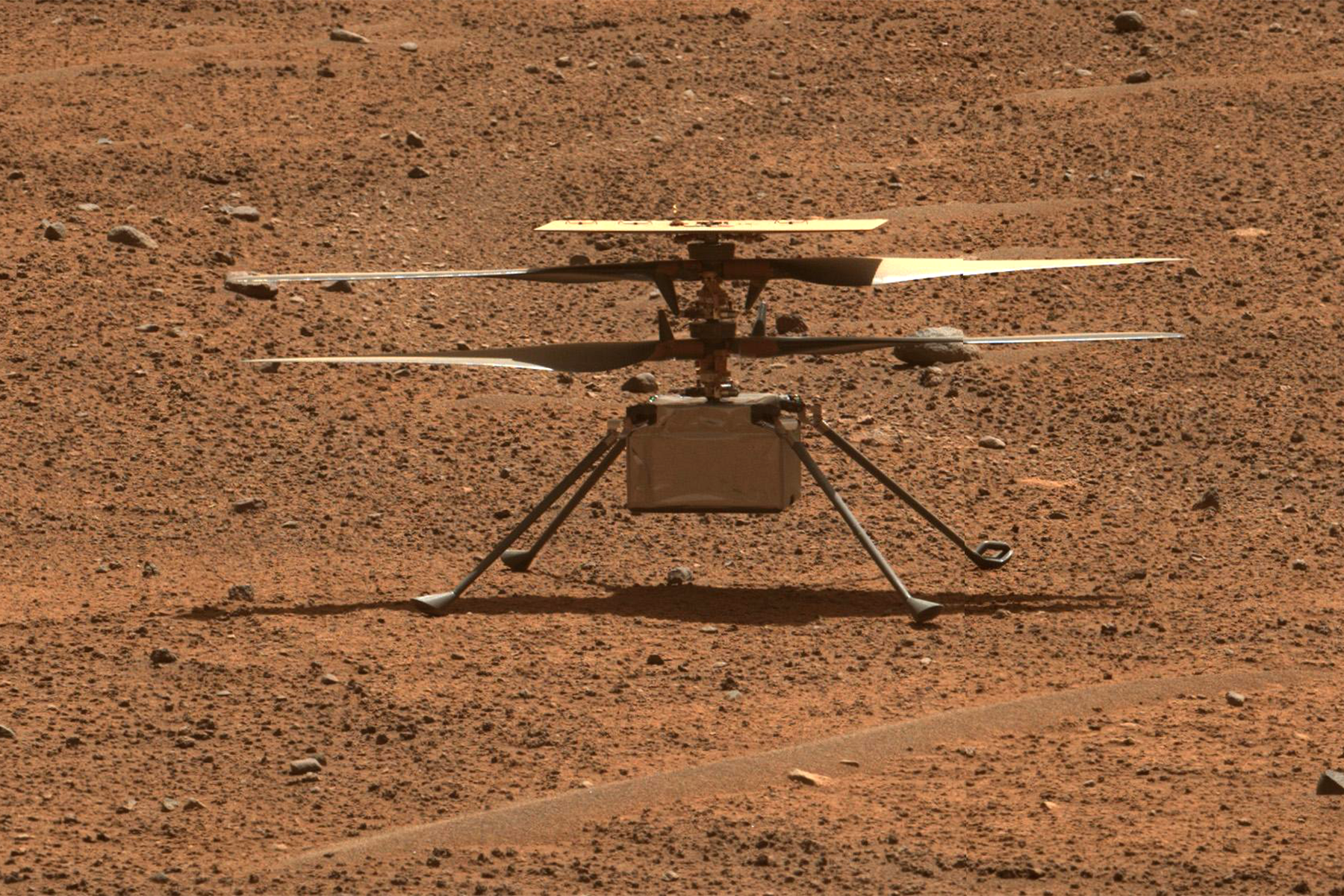 El helicóptero Ingenuity de la NASA fotografiado en la superficie de Marte por el Perseverance